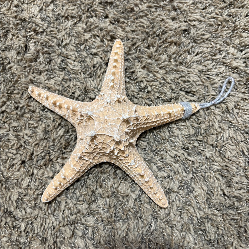 Starfish Ornament with Loop